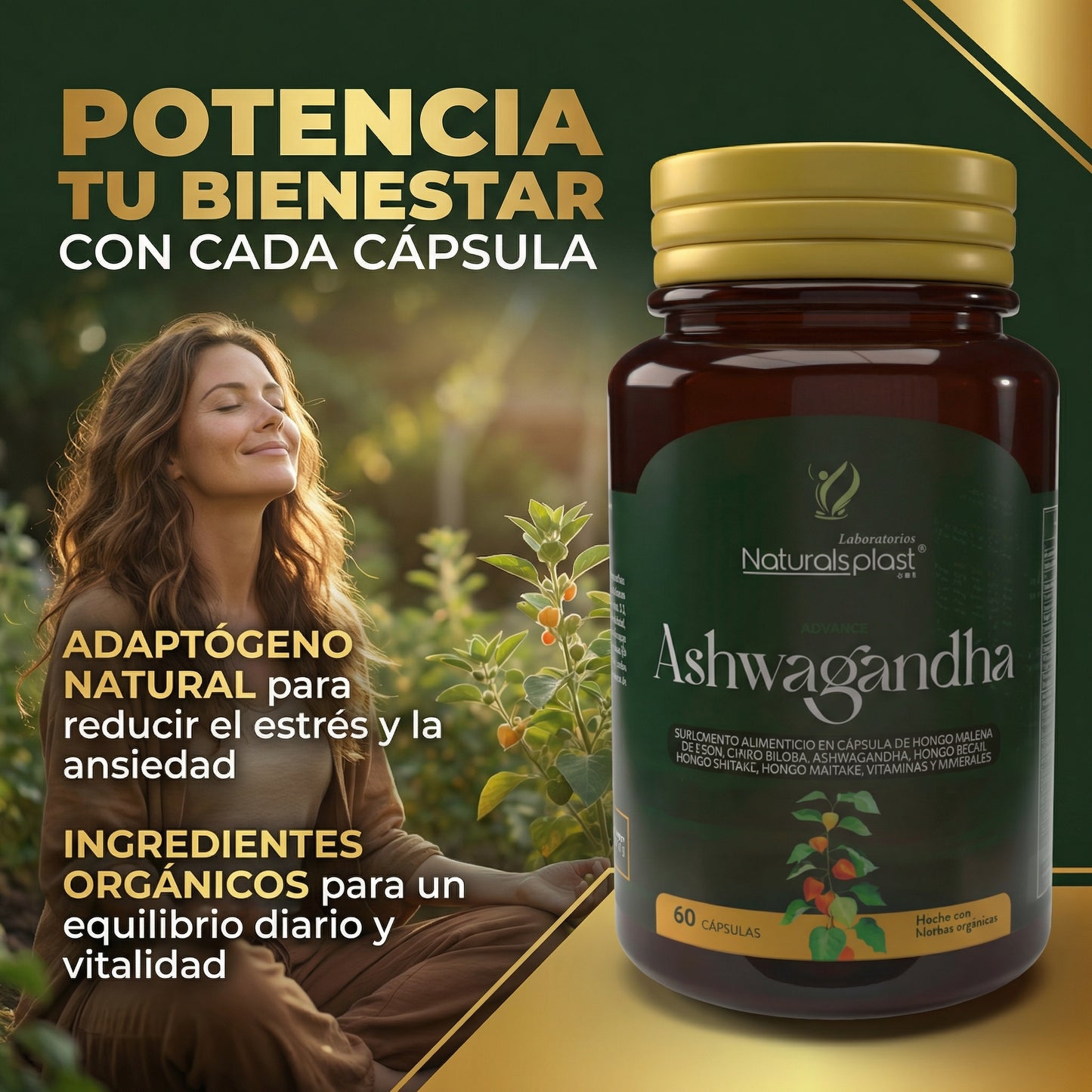 BIOCOLLAN 100CAP+ASHWAGANDHA 60CAP/SALUD
