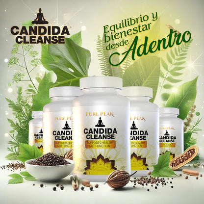 CANDIDA + YEJ EON