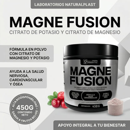 MAGNEFUSION 250GR / SISTEMA NERVIOSO